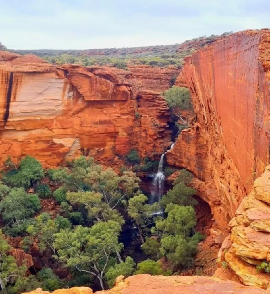 Kings Canyon Rim Walk