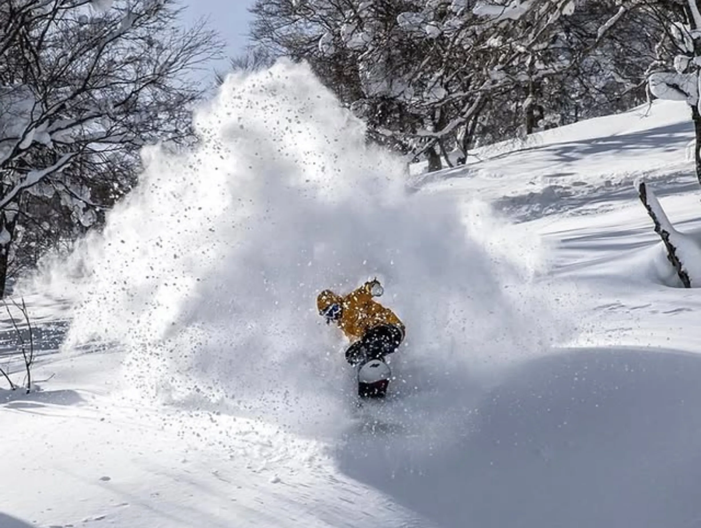 snowboarders